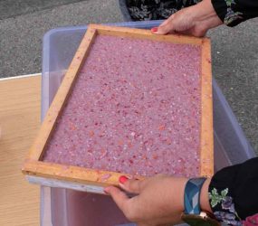 the deckle with the paper pulp lifted out of the water