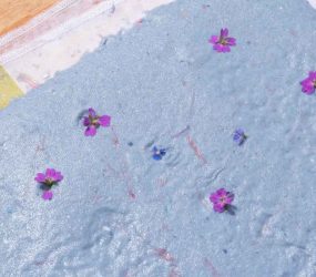 small purple flowers pressed into wet blue paper sheet