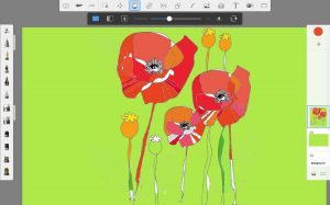 digital drawing of poppies with different shades of red used for petals