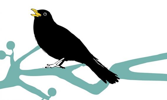 digital drawing of blackbird on a branch