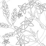blossom line drawing by ArtCare