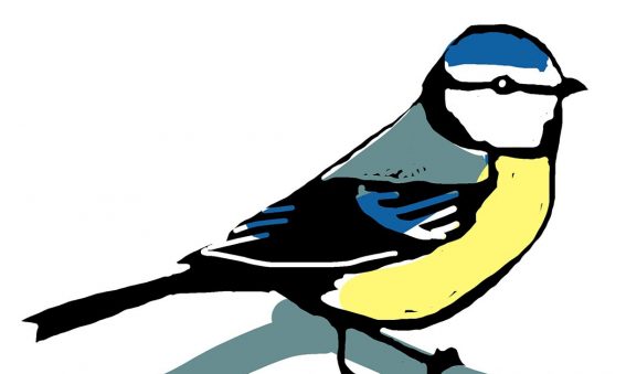 digital drawing of a bluetit