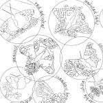 outline drawings of different butterflies to colour in