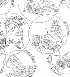 outline drawings of different butterflies to colour in