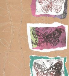 butterfly outline drawings layered on different coloured papers to create collage