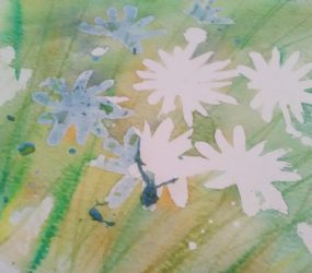 watercolour daisy peeling off masking fluid