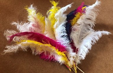 large coloured feathers