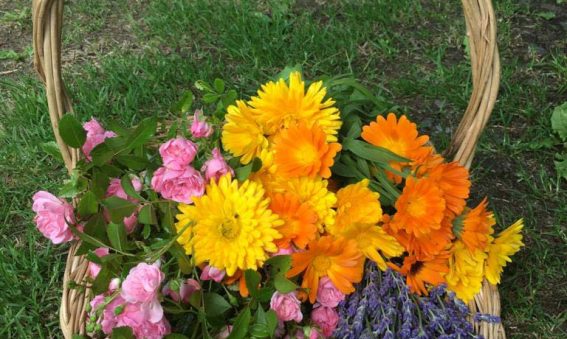 pink roses, lavender, orange marigolds in wicker basket