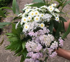 bunch of pink and white flowers with foliage picked by Hannah