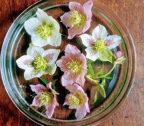 pink and white flower heads arranged in bowl