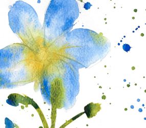 loose watercolour of blue flower with gentle spattering to create texture