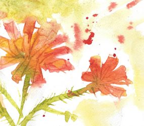 orange watercolour image, loose colours