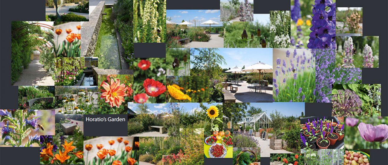 images of plants, spring flowers and sculpture in Horatio's garden