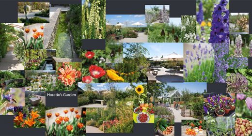 images of plants, spring flowers and sculpture in Horatio's garden
