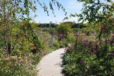 The mystery of Horatio's Garden
