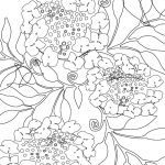 hydrangea line drawing by ArtCare