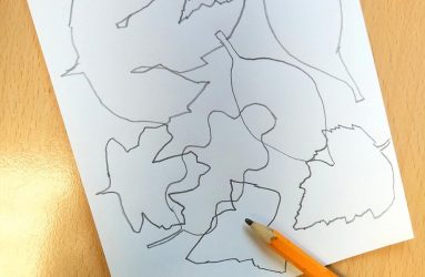 sketch of leaf shape outlines