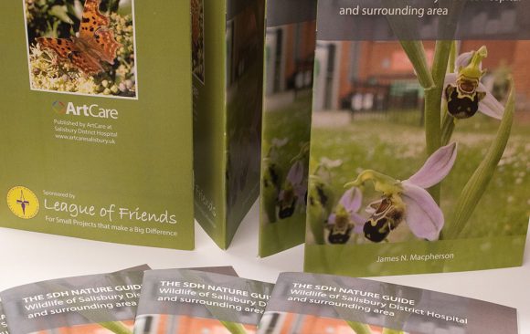 Cover of guide showing orchid growing in hospital grounds