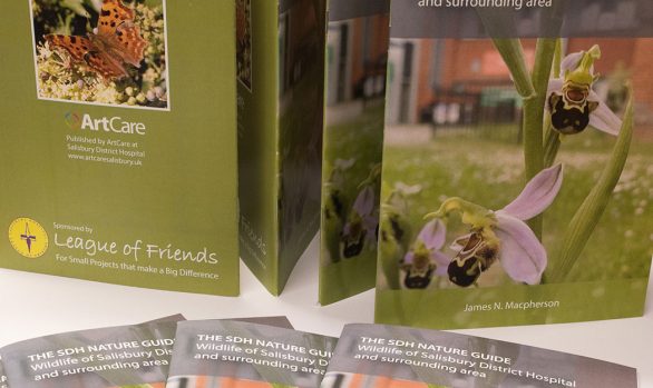 Cover of guide showing orchid growing in hospital grounds
