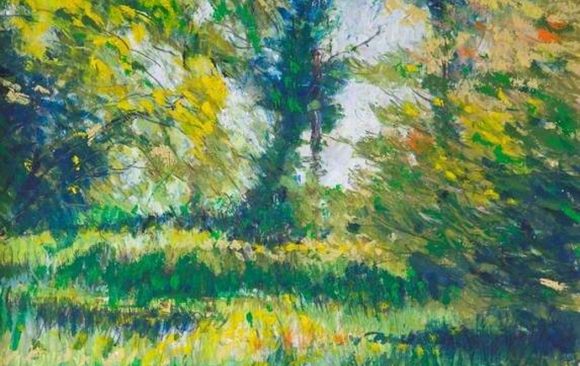 warm toned woodland scene