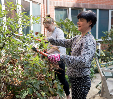 Volunteers trimming bushes