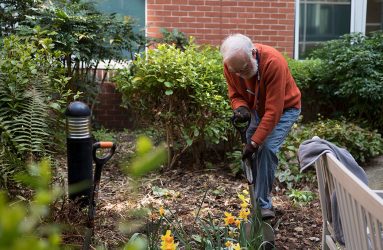 Volunteer digging