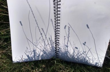 sketchbook with shadow of grasses on it