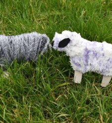 finished woolly sheep standing on the grass