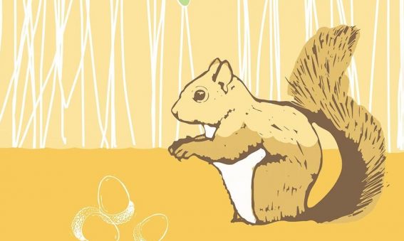 digital drawing of brown toned squirrel, with acorns and oak leaves above