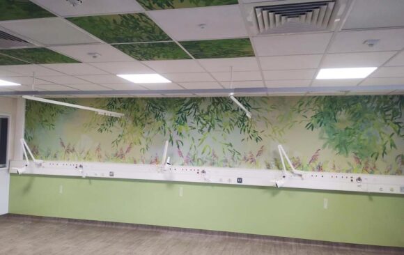 watermeadow bay with full length wall print and ceiling tiles in ward