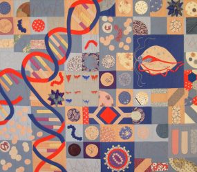 various quilted virus cells, dna helix, chromosomes in block design