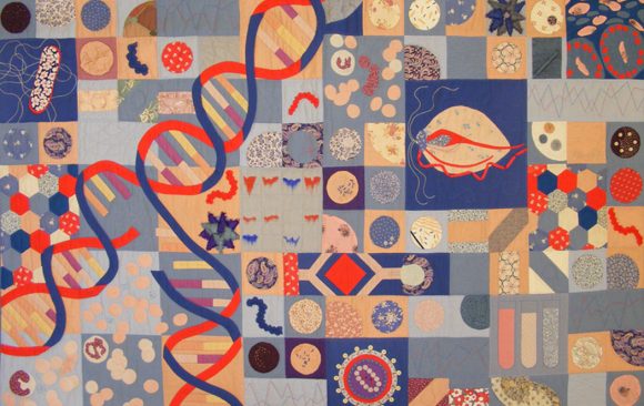 various quilted virus cells, dna helix, chromosomes in block design