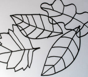 leaf outlines in black pen
